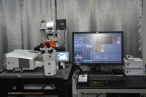 Zeiss倒置激光共聚焦显微镜LSM780
