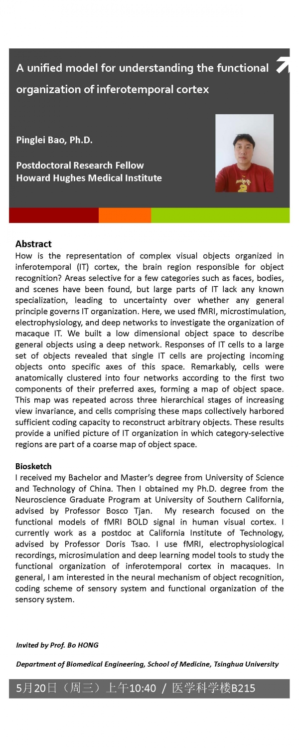 A unified model for understanding the functional organization of inferotemporal ...