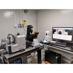 Andor转盘共聚焦显微镜